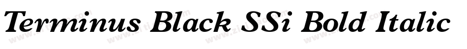 Terminus Black SSi Bold Italic字体转换